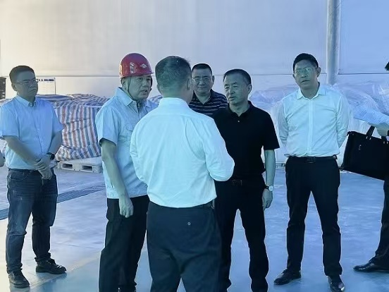 恩佐娱乐 b4161