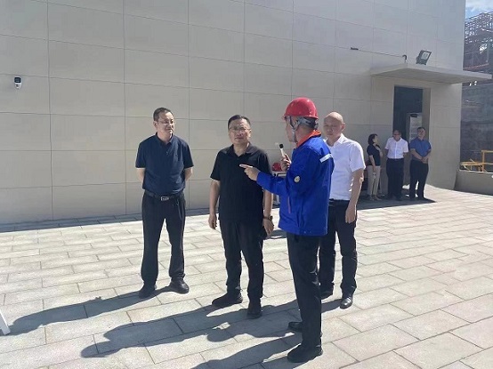 恩佐娱乐 5da6c